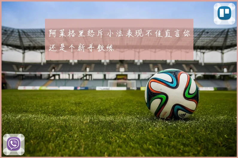 阿莱格里怒斥小法表现不佳直言你还是个新手教练